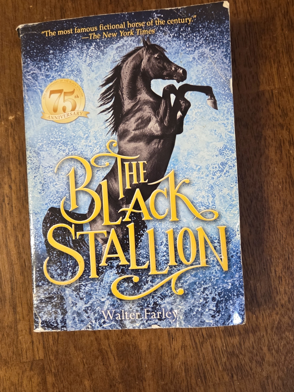 π5/$10π The Black Stallion Black Horse on Blue Background Paperback